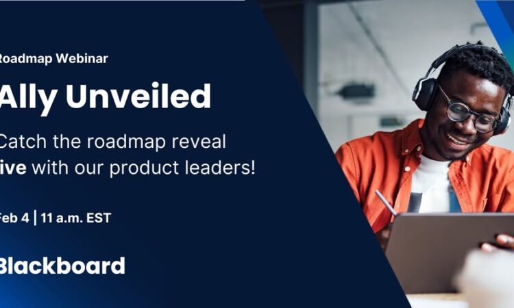 allysplay.com Website