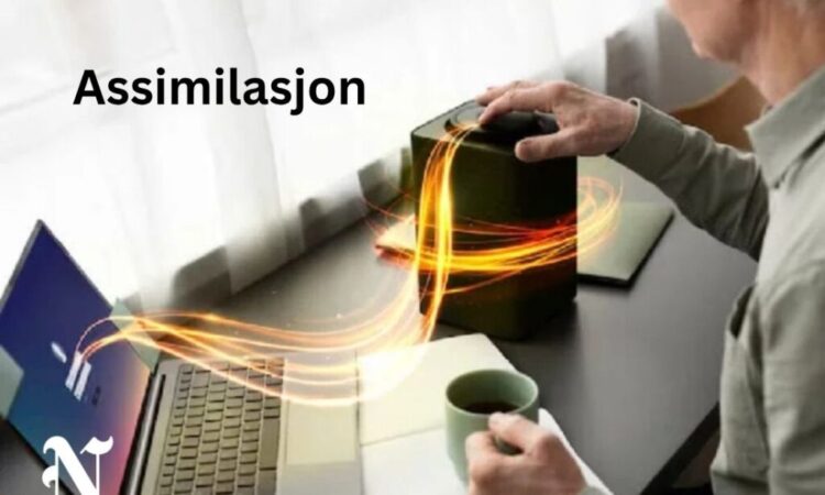 assimilasjon