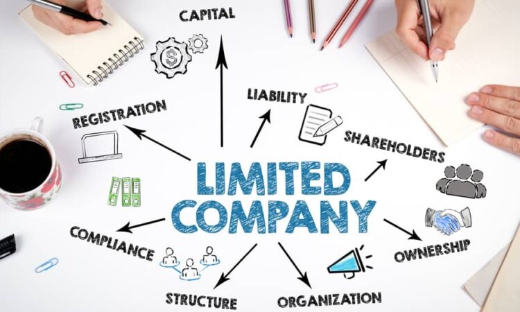 pakula sp z.o.o. company description poland