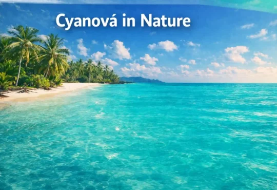 cyanová