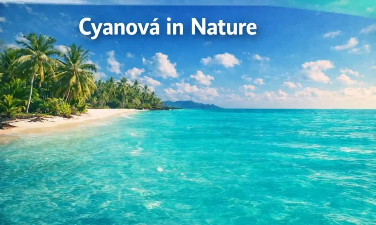 cyanová